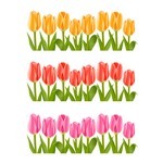 Flower, Tulip 02
