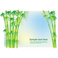 Bamboo and Grass Plant Vector 03