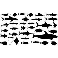 Fish silhouettes (29363)