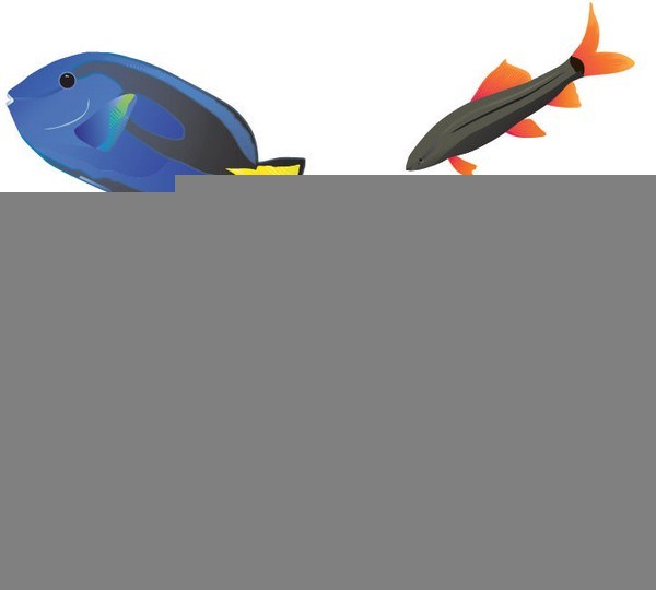 Fish Vector Pack
