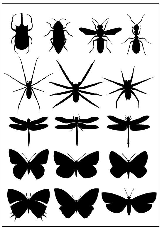 Insects Set [Silhouette]
