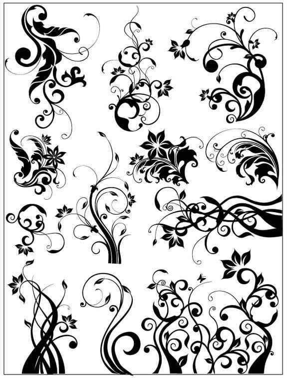 Swirly Floral Vector png