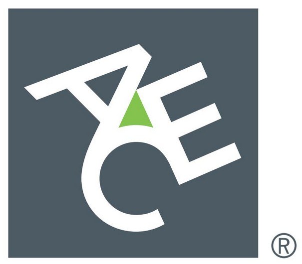 ACE Group Logo