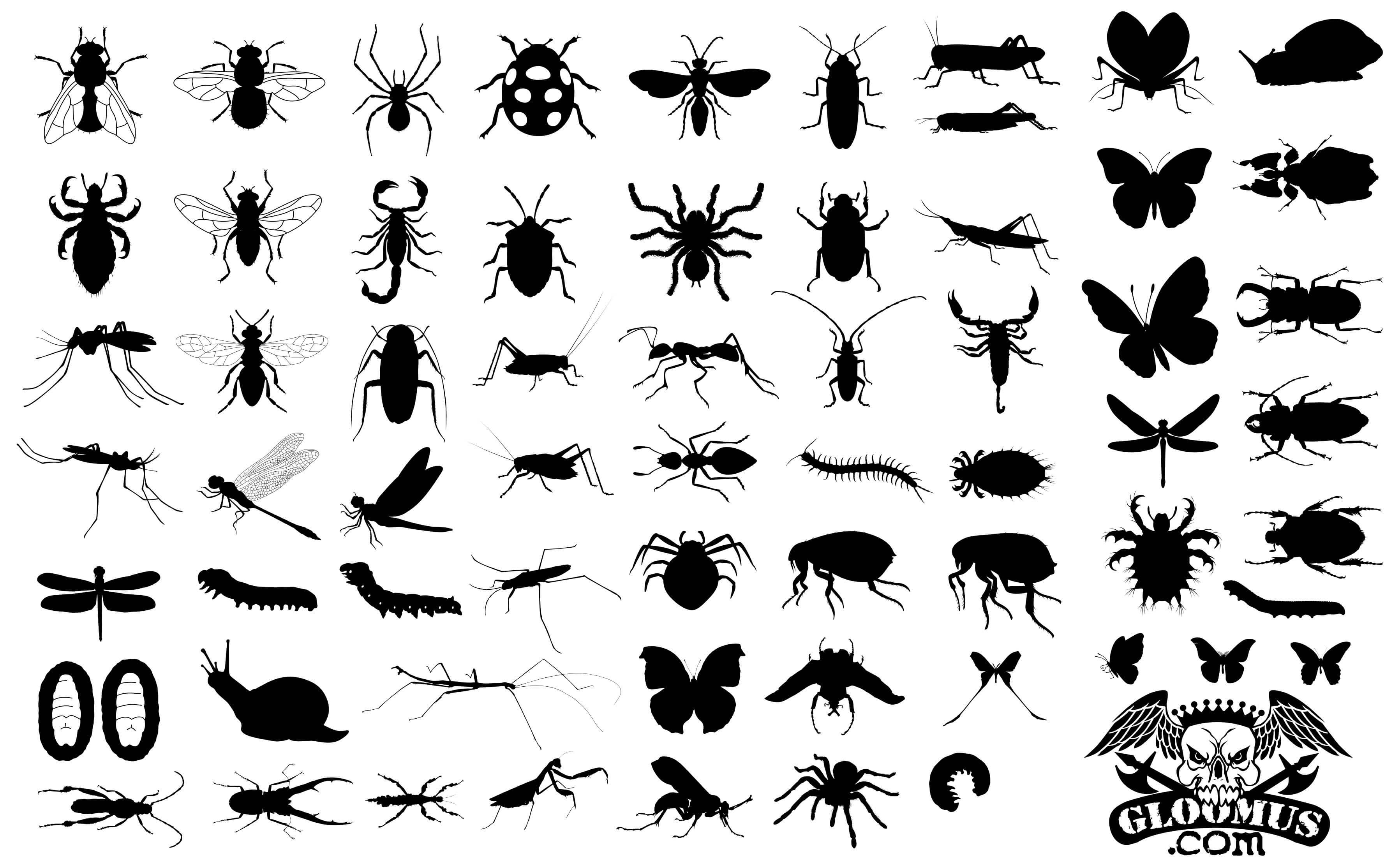 65 Insect Silhouettes