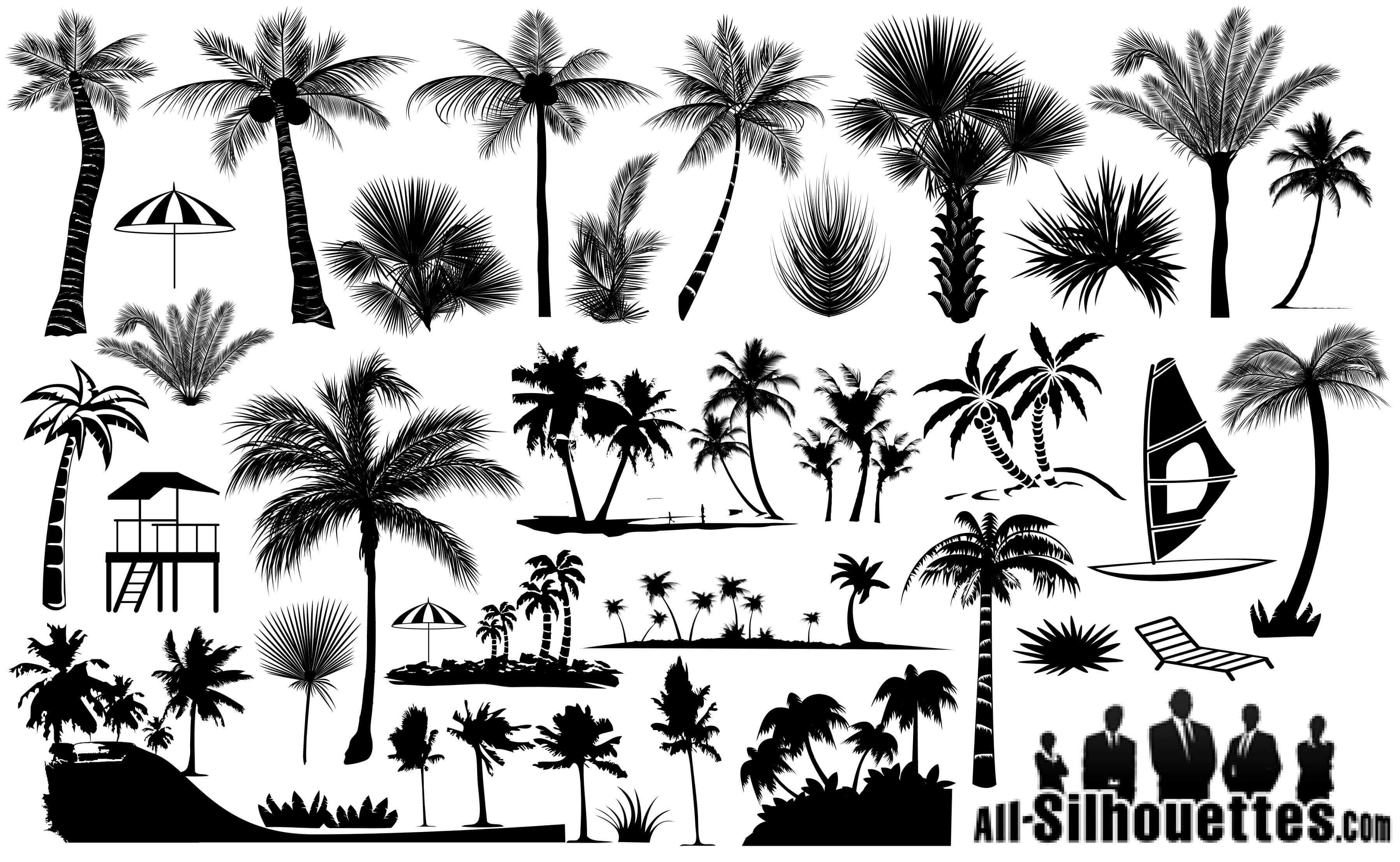 Palm Trees Silhouettes png