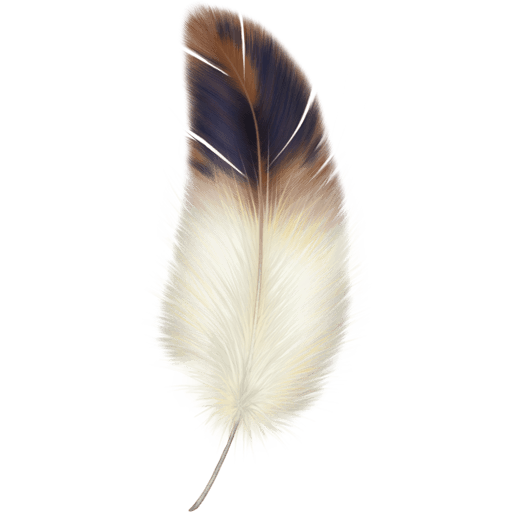 Beautiful Feathers 512×512 [PNG Files]