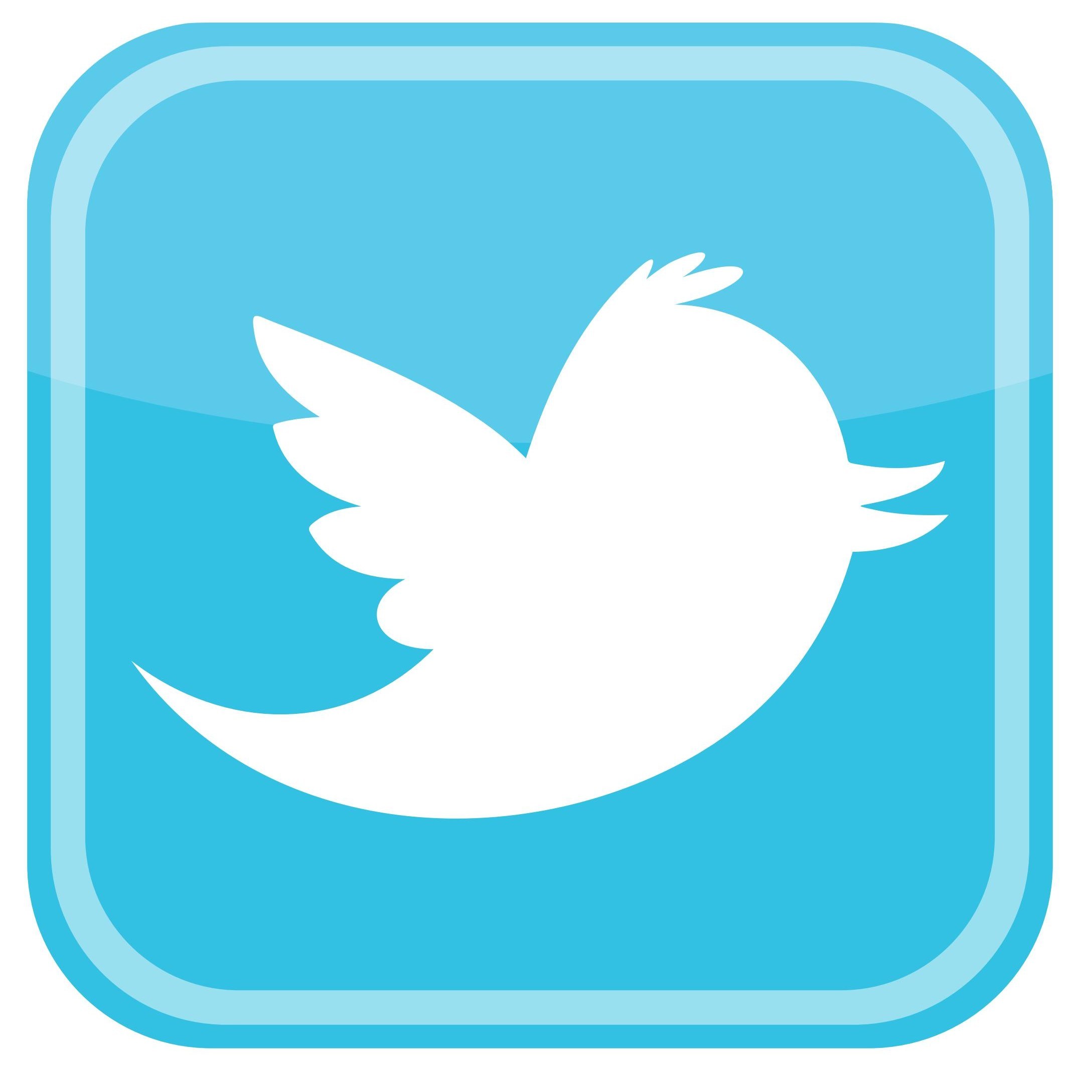 Twitter Bird Icon Logo