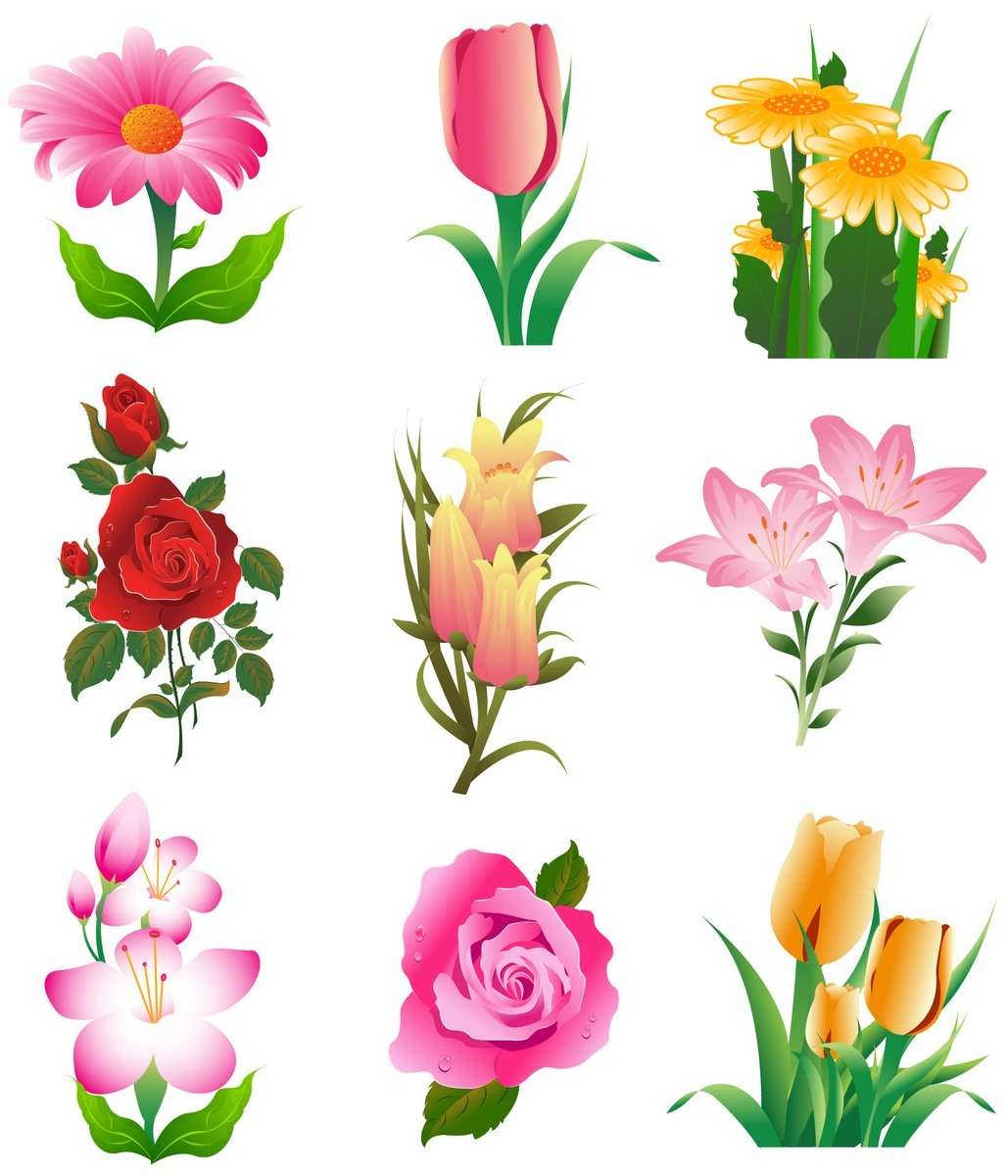 Flower, Rose, Tulip png
