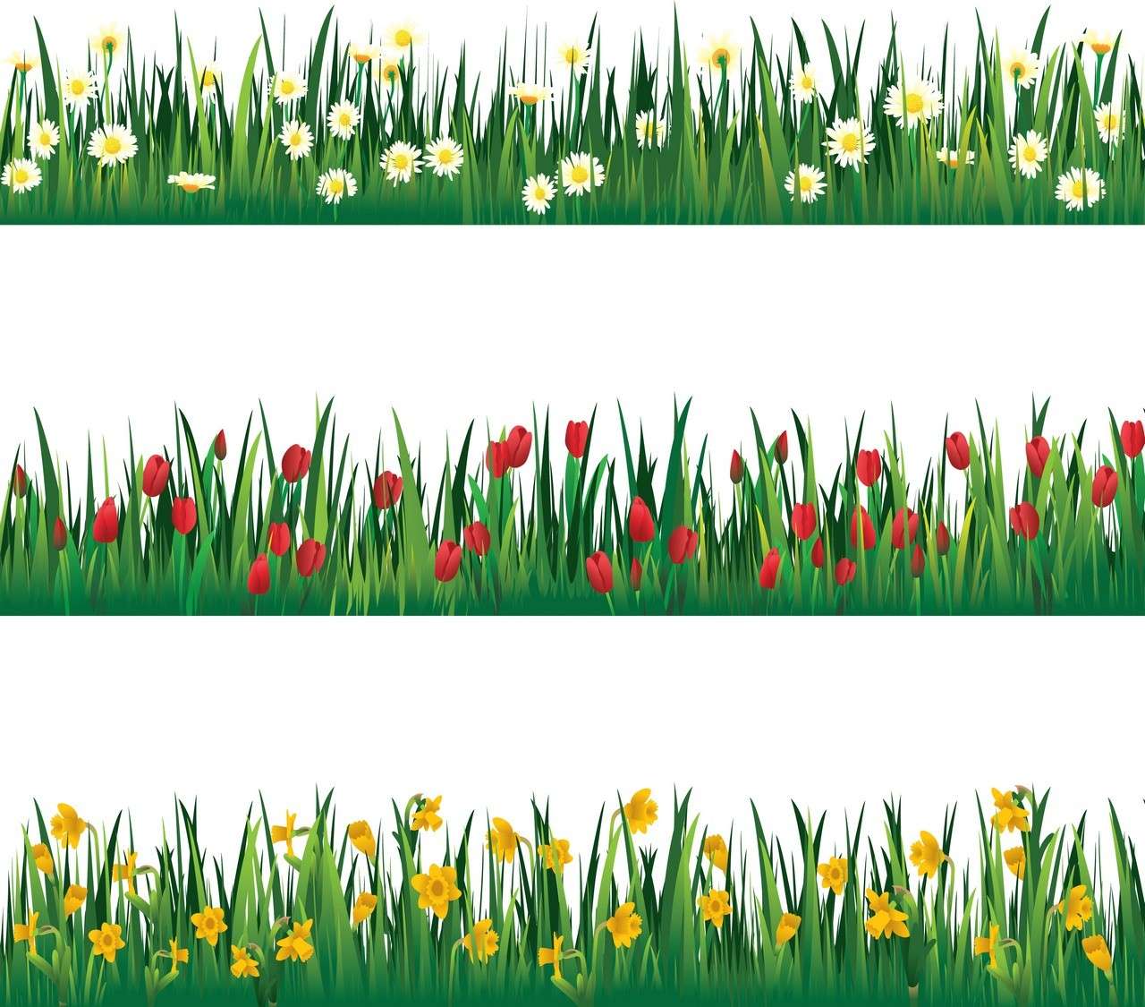 Flower, Tulip, Grass