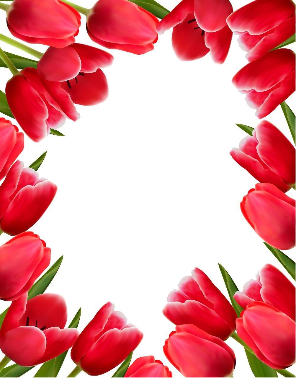 Flower, Tulip Background  02