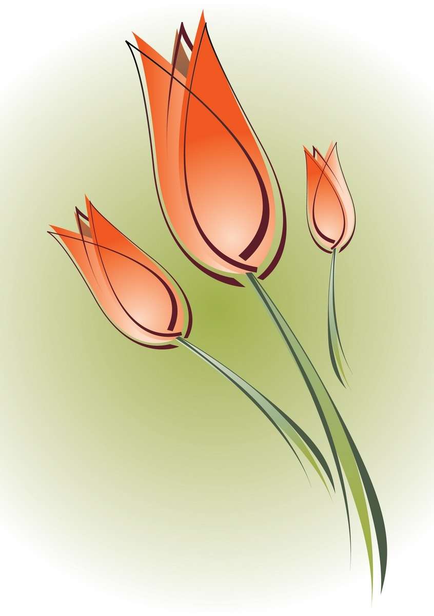 Flower, Tulip