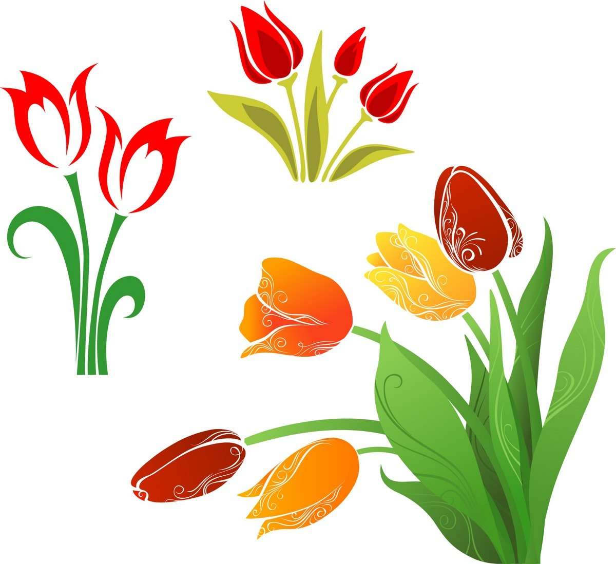 Flower, Tulip 01