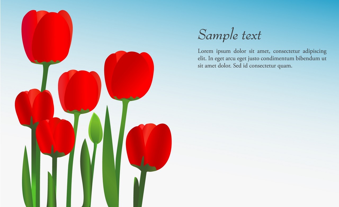 Flower, Tulip Background