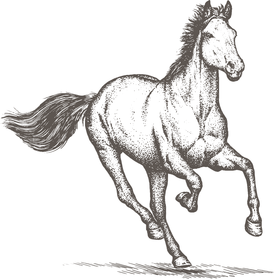Horse PNG Clipart (24 Image)