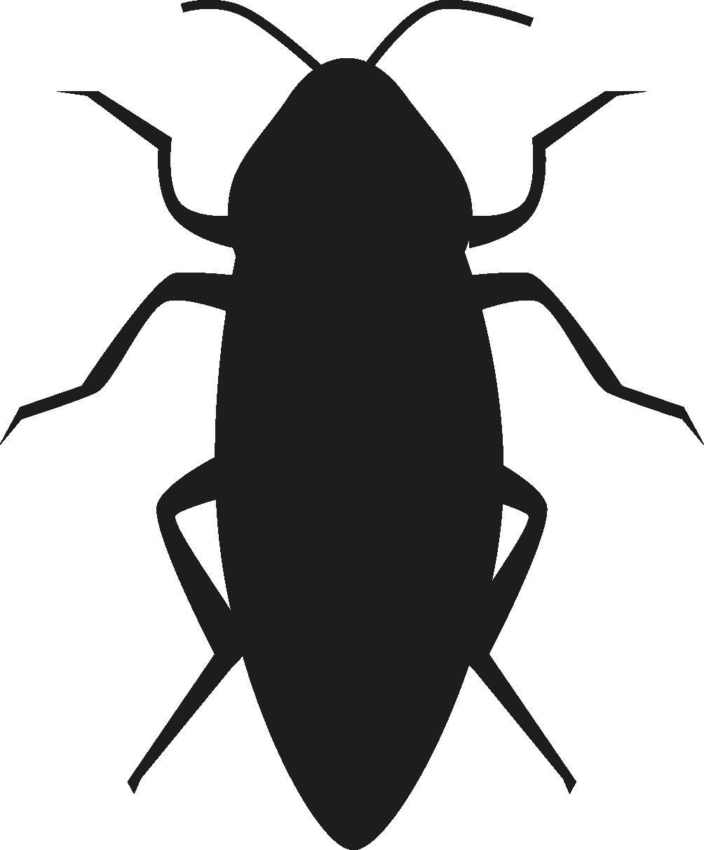 Insects Set [Silhouette] png