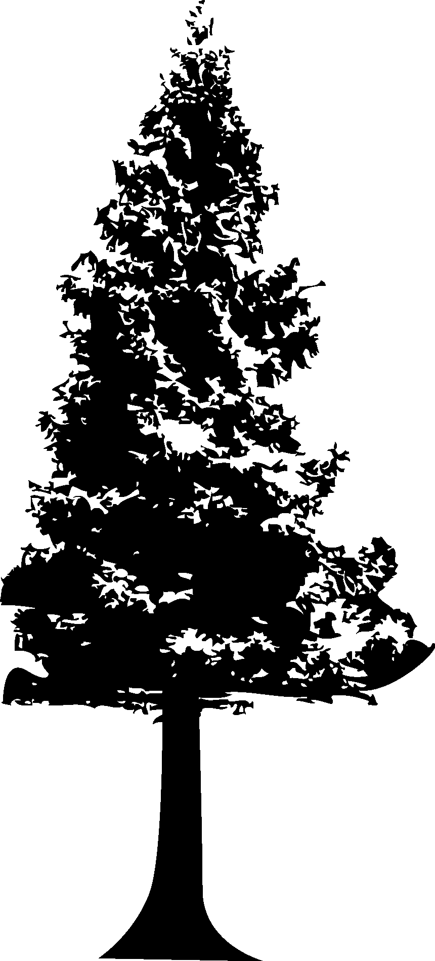 Trees Silhouette 01 png