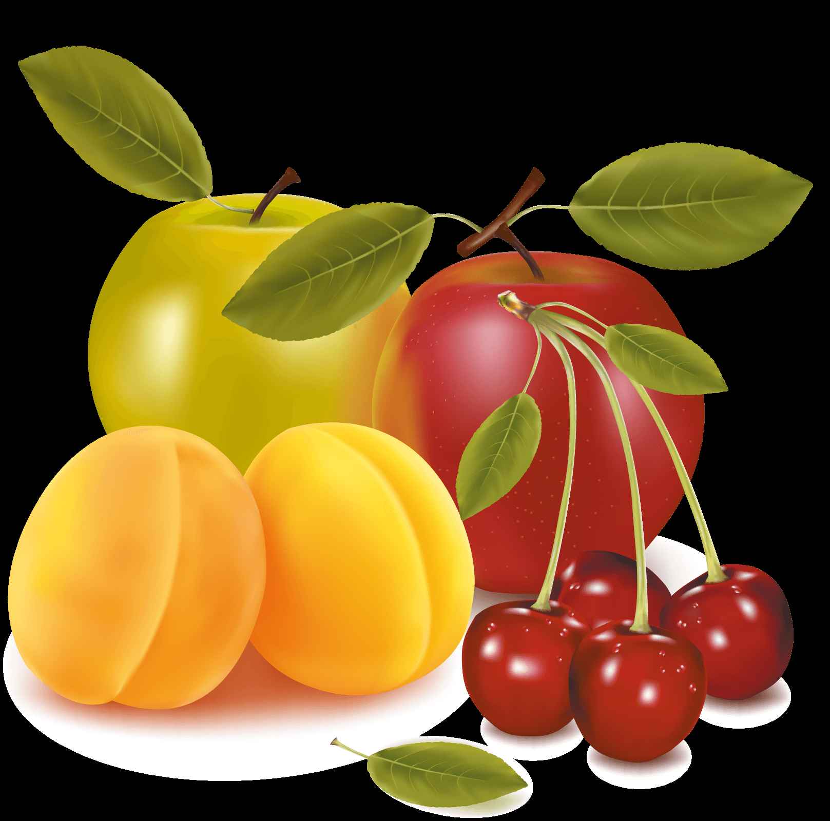 Cherry Apple Pear Vector Art