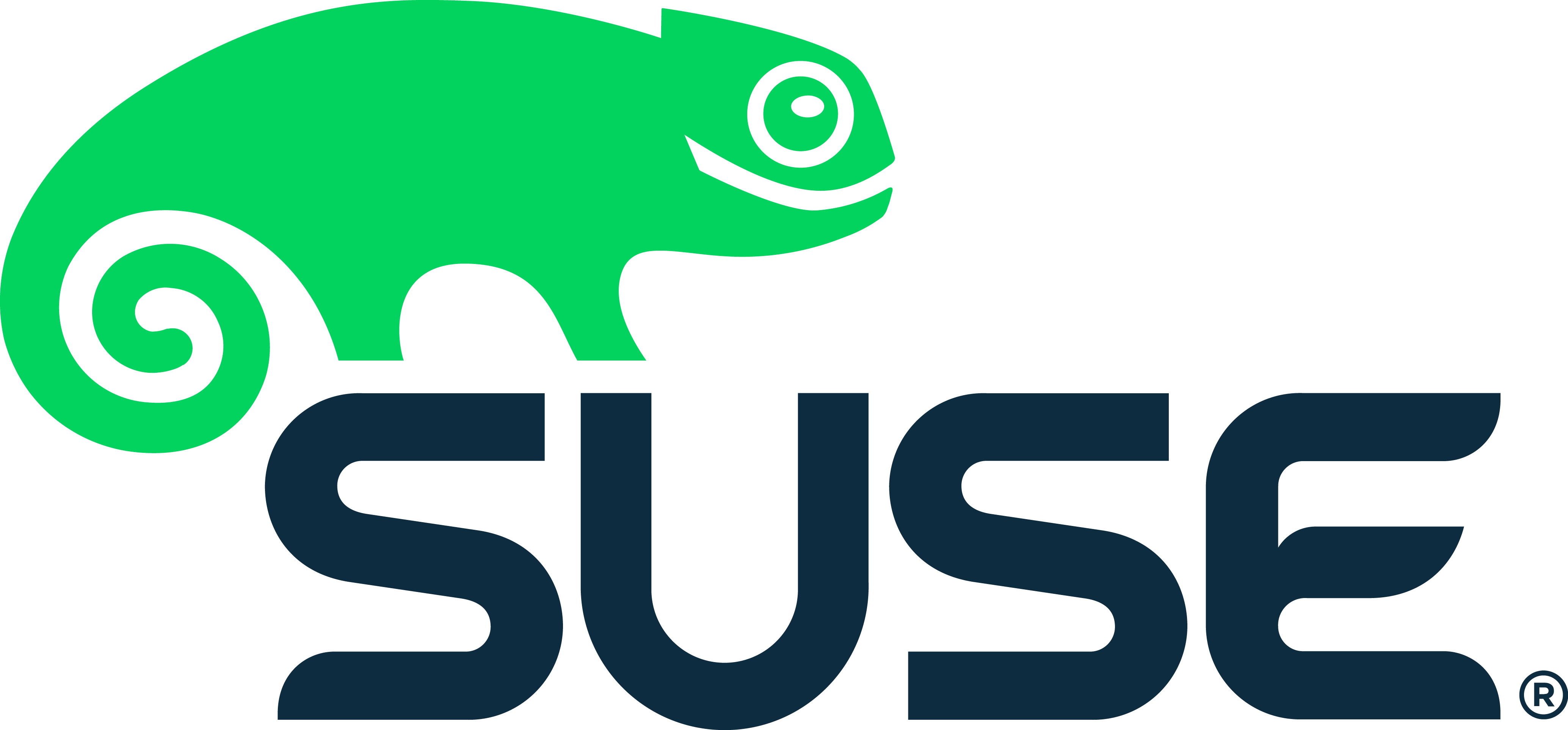 SuSe Linux Logo png