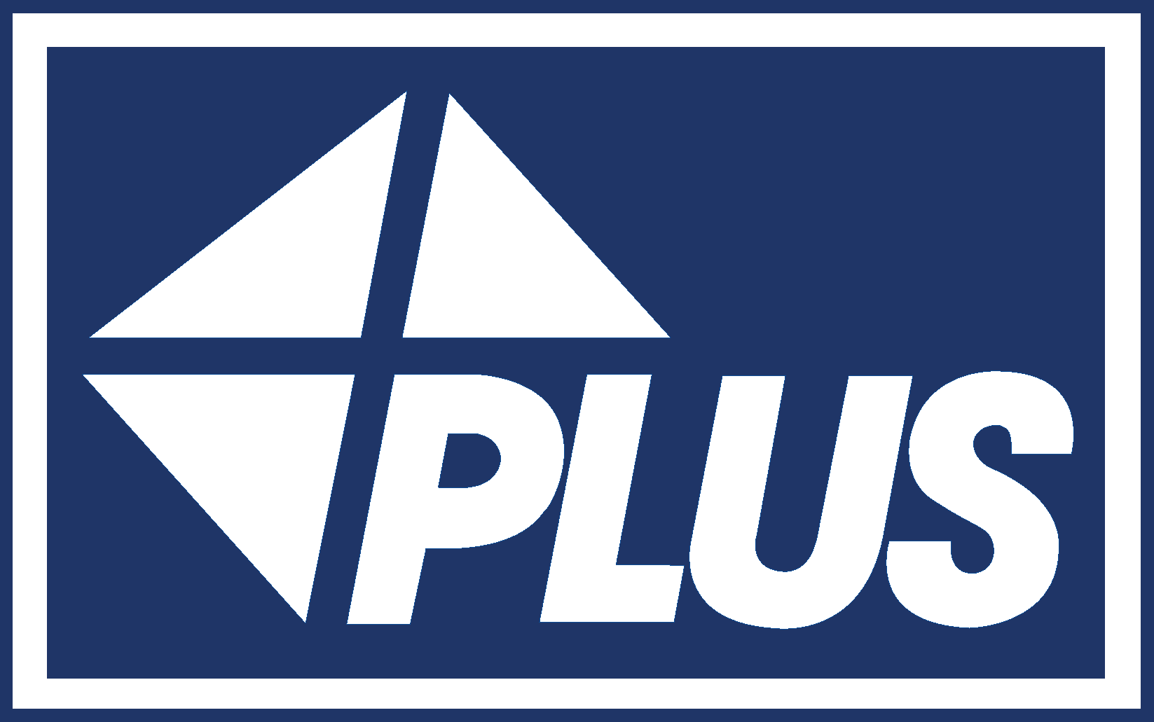 Plus Logo [VISA]