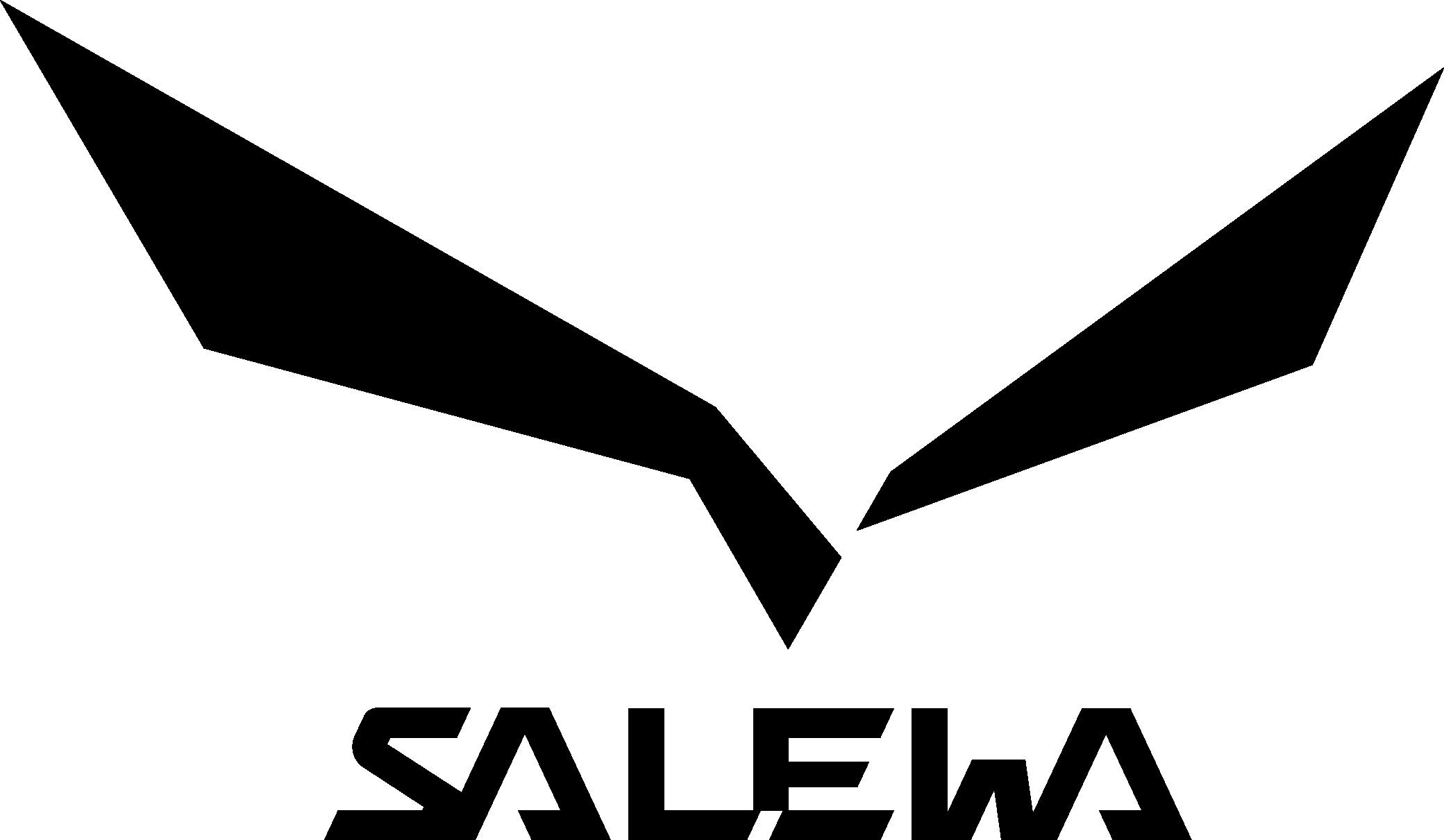 Salewa Logo