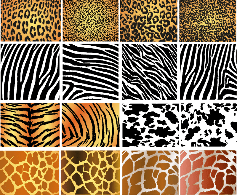 Animal Skin Textures 01