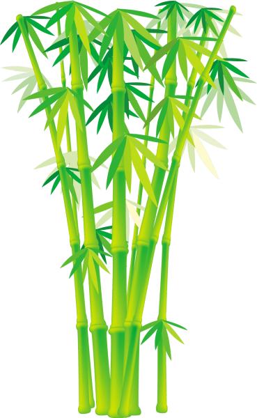 Bamboo and Grass Plant Vector 02 png