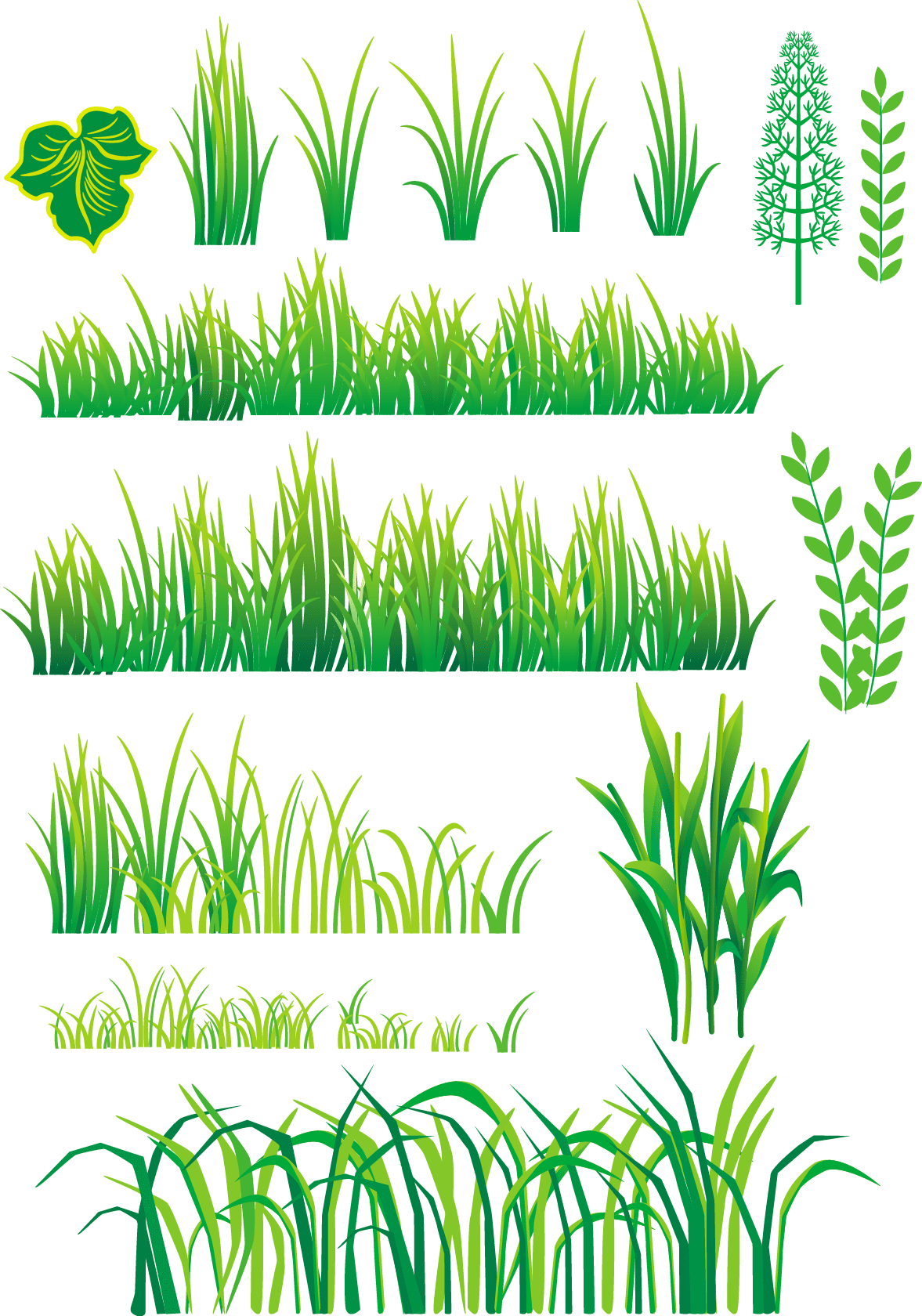 Bamboo and Grass Plant Vector 04