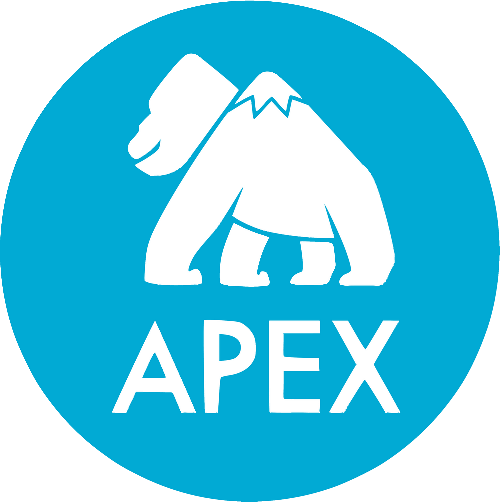 Apache Apex Logo
