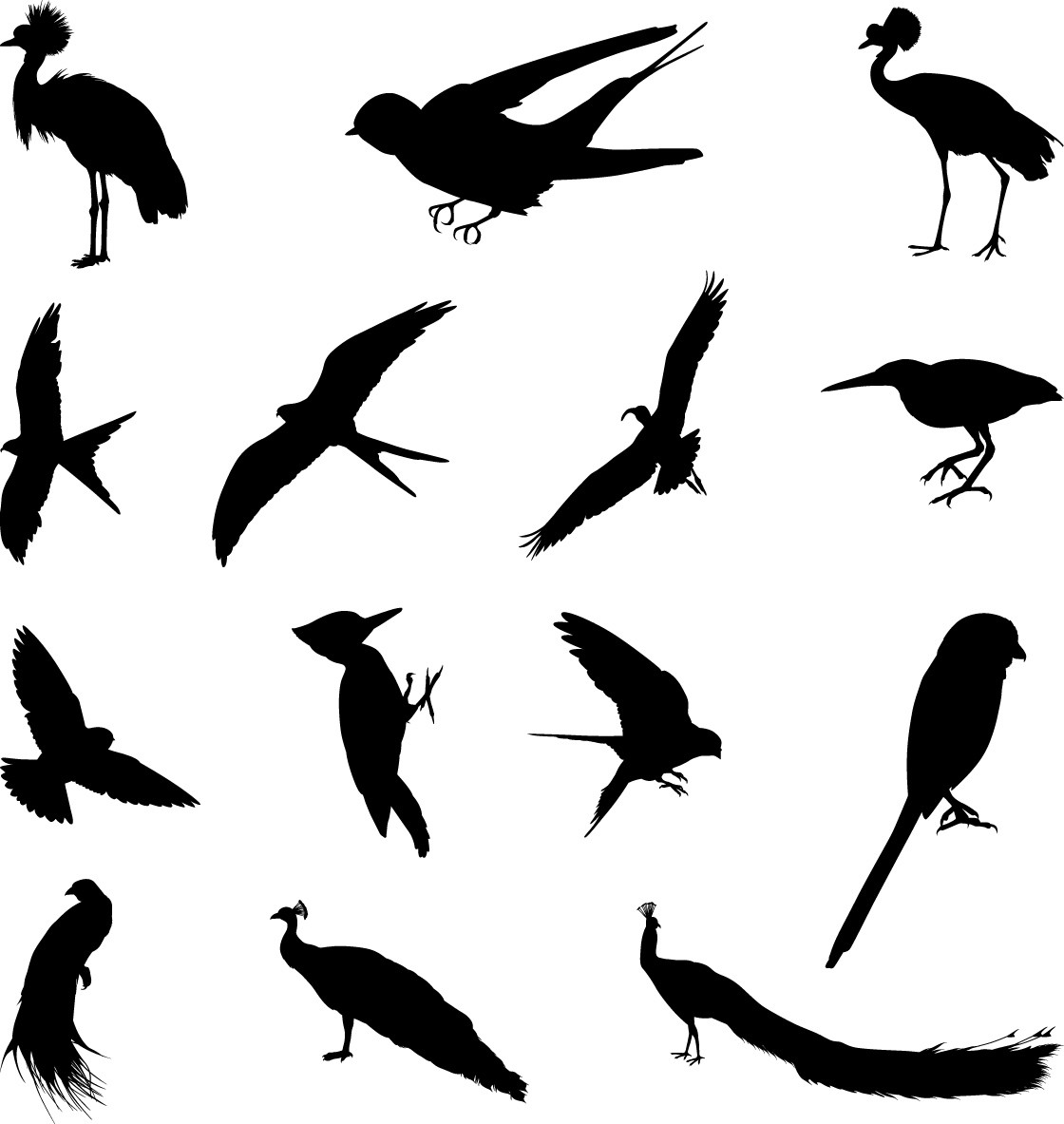 Various birds silhouettes set
