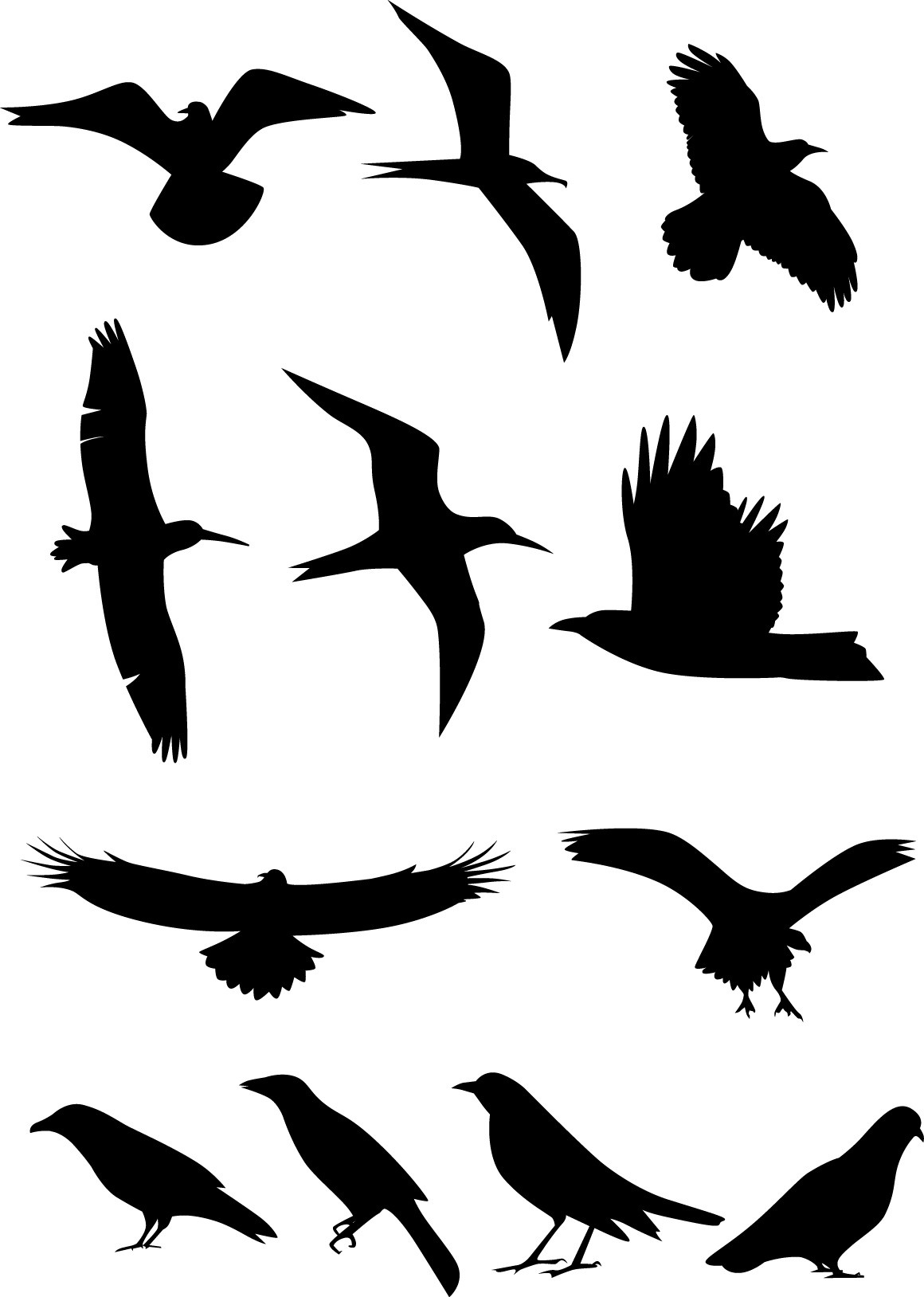 Bird silhouette png