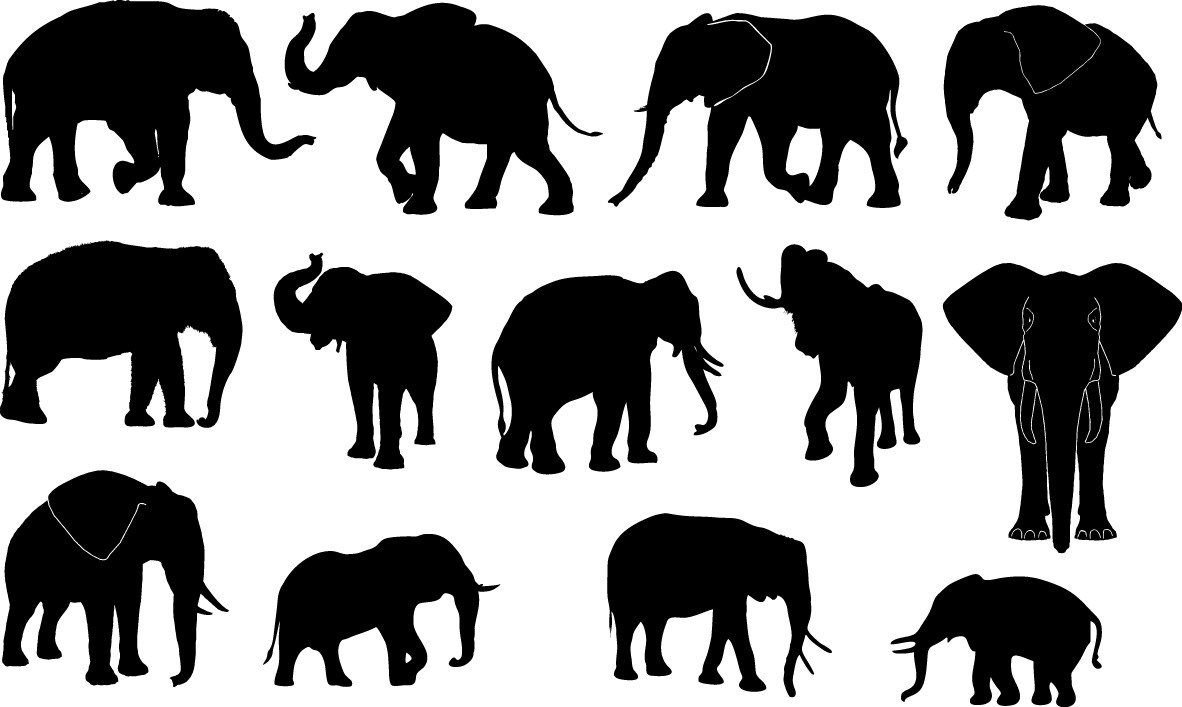 Elephant silhouettes png