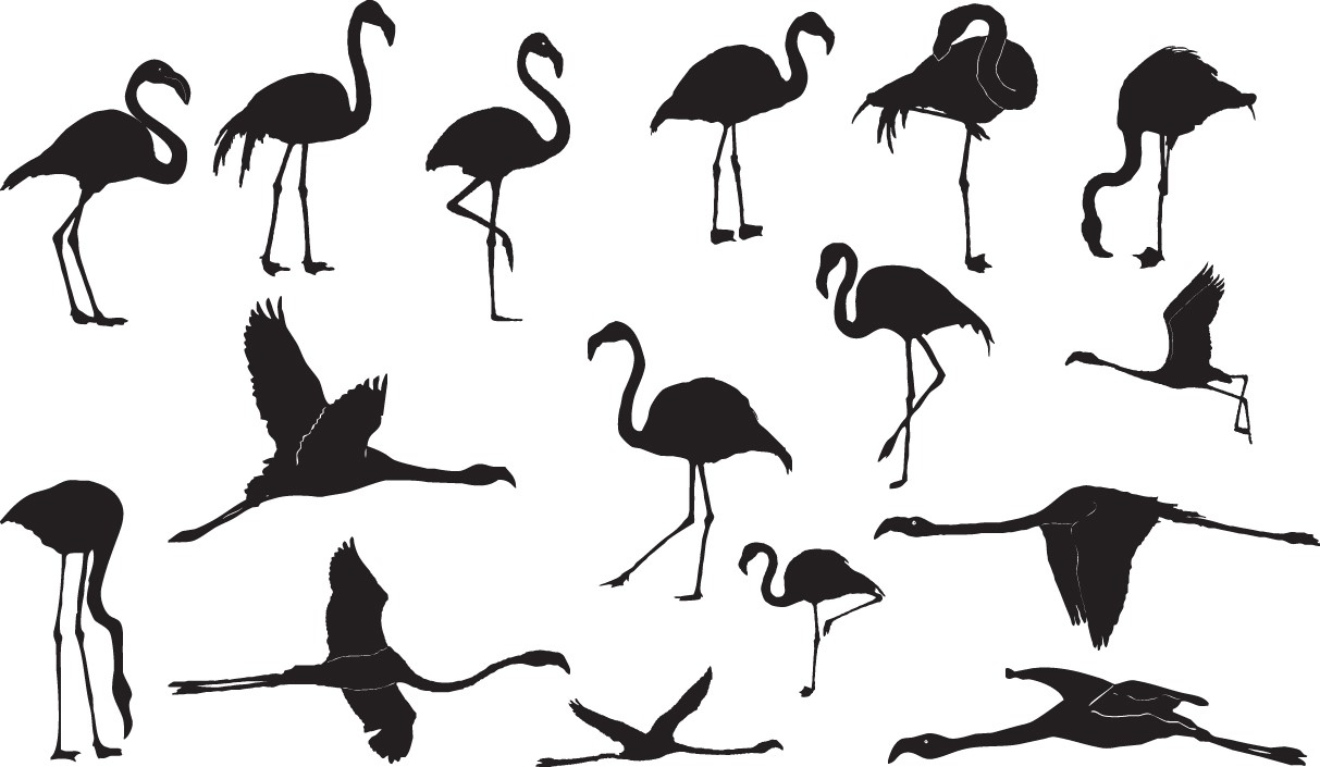 Flamingo silhouettes
