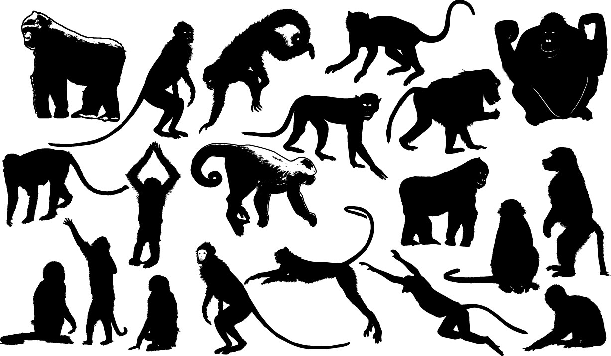Monkey silhouettes