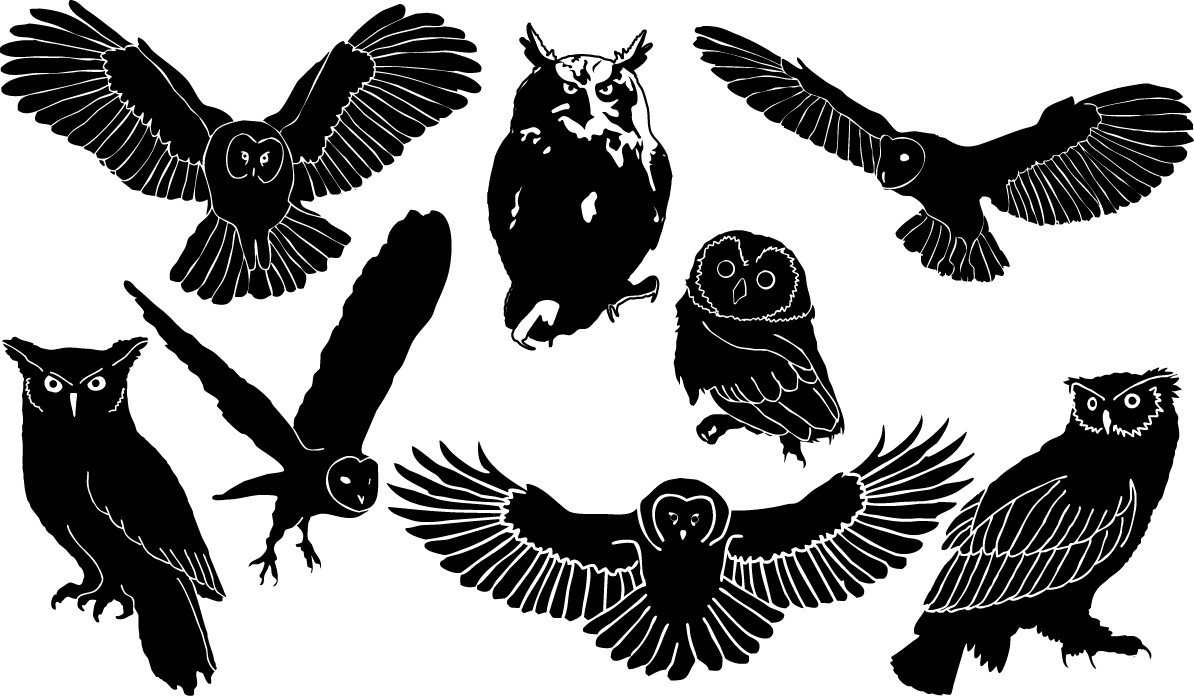 owl silhouette