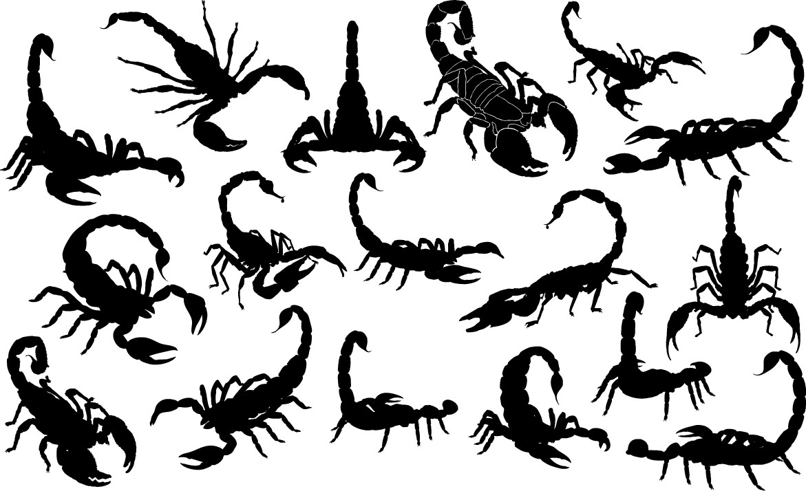 Scorpion silhouettes
