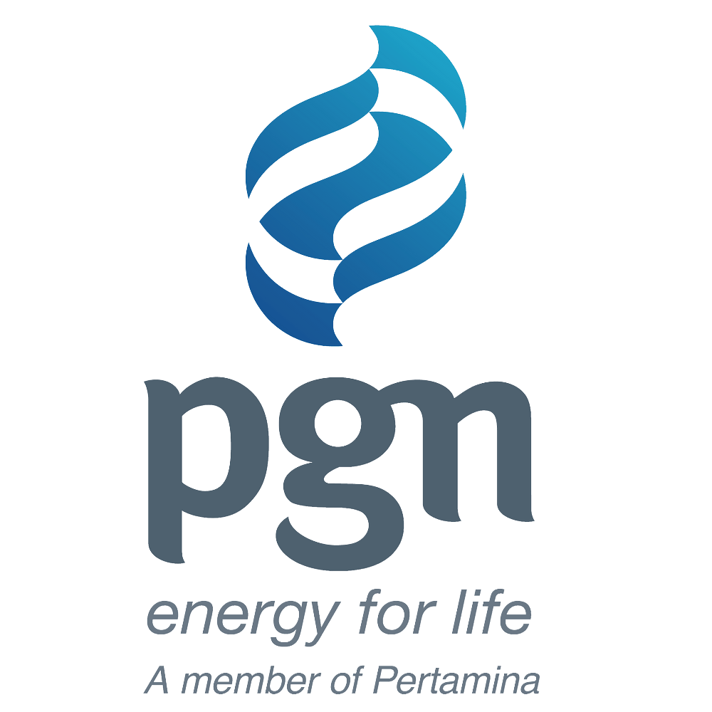 PGN Logo png