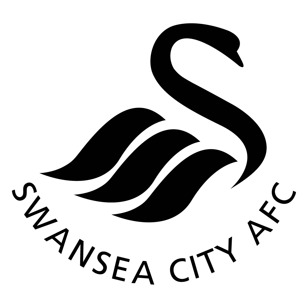 Swansea City Logo png