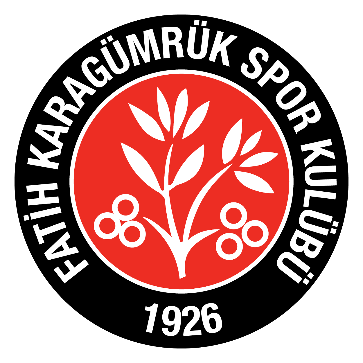 Fatih Karagümrük Logo png