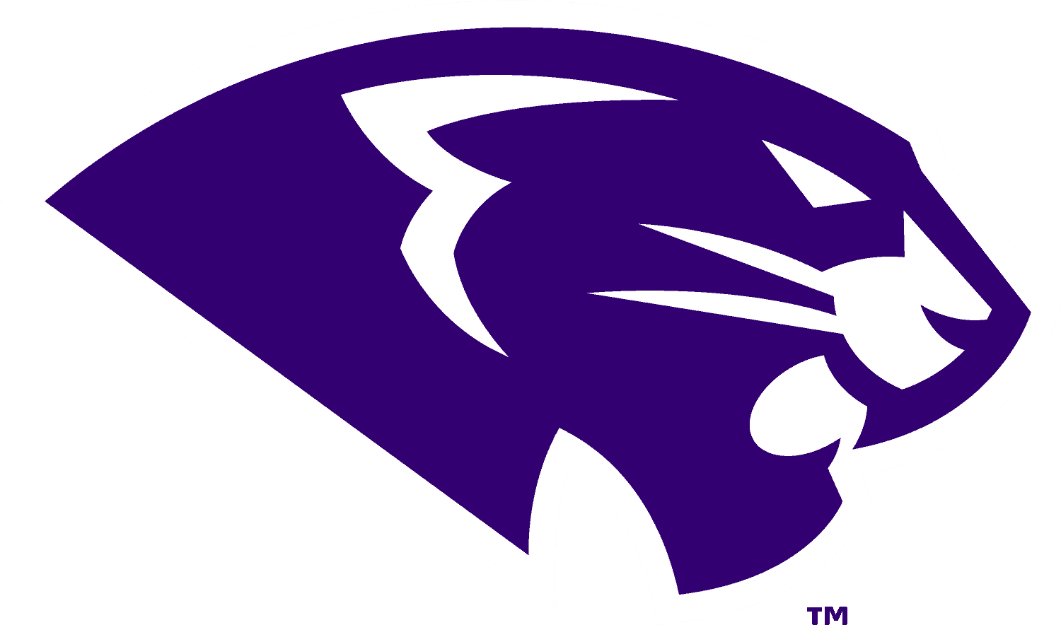 High Point Panthers Logo png