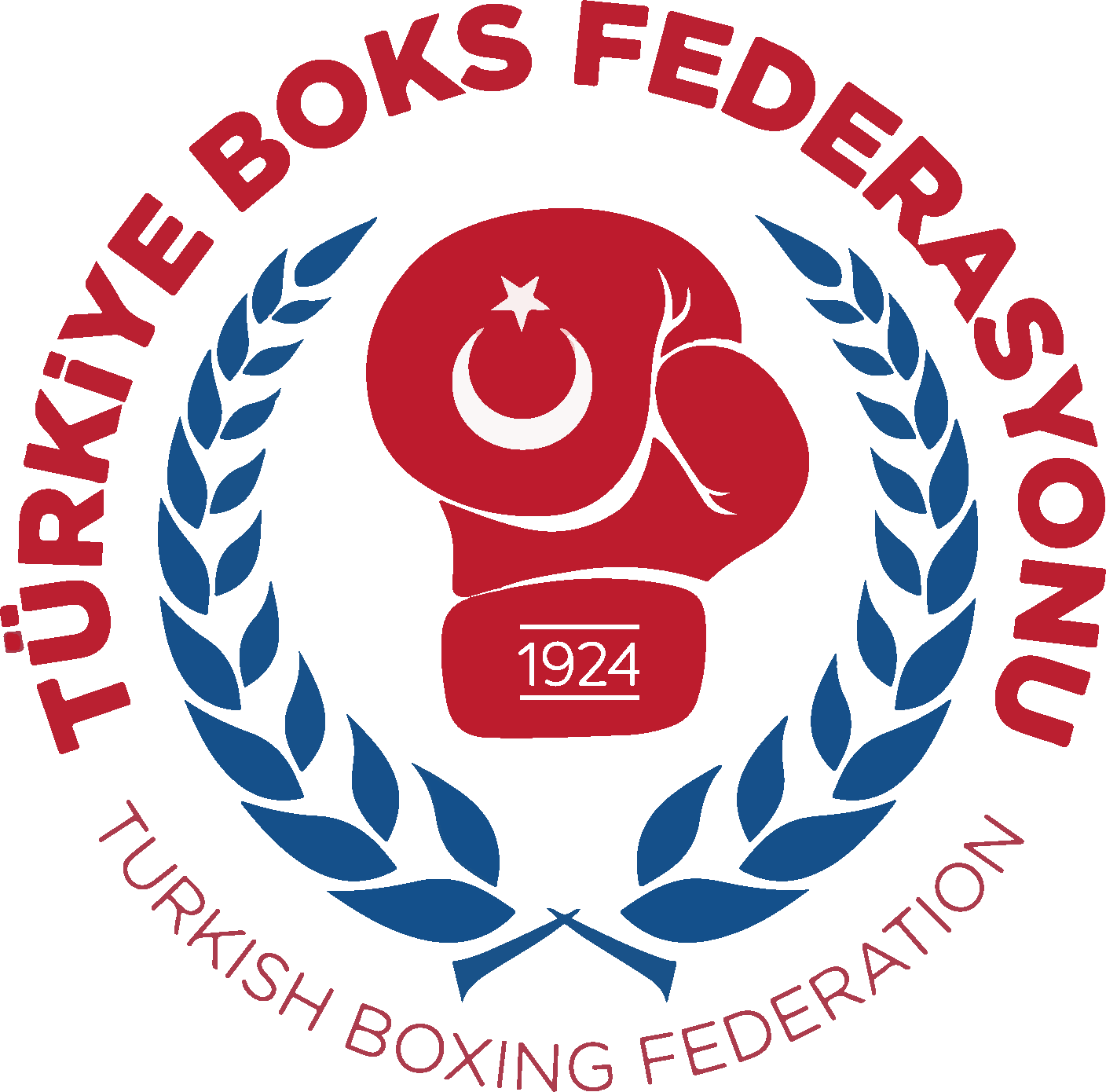 Türkiye Boks Federasyonu Logo png