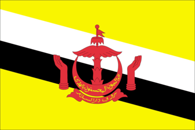 Brunei Flag and Emblem png